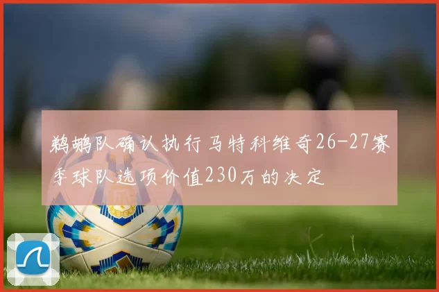 鹈鹕队确认执行马特科维奇26-27赛季球队选项价值230万的决定